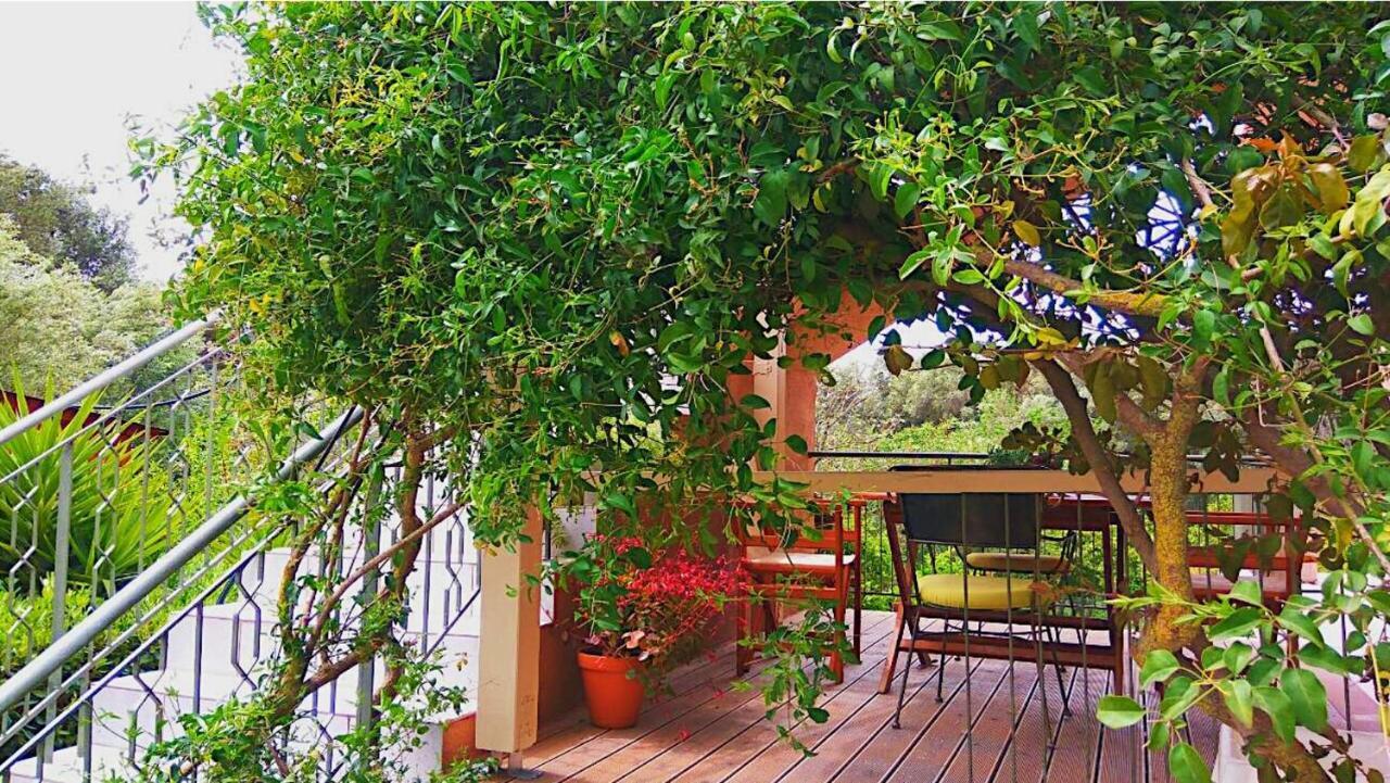 Kefalonia Apartments - Marias Studios - 2 Bedroom Apartment In Orchard, Spartia Zewnętrze zdjęcie